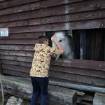 IMG-20221218-WA0025